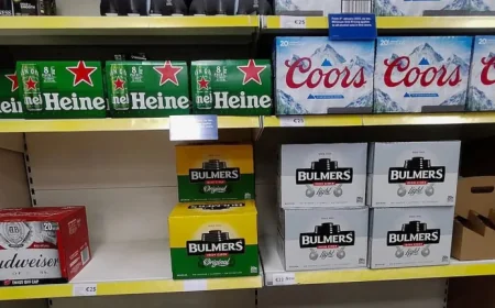 St Paddys Day 2026: Alcohol Curbs and Parade Policing Set to Reshape Celebrations