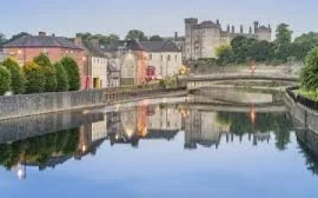 Limerick Parade controversy erupts as €55 VIP ticket sparks Kilkenny dispute