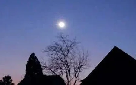 Meteor Explosion After the European Fireball: What We Know From the Germany Roof Strike