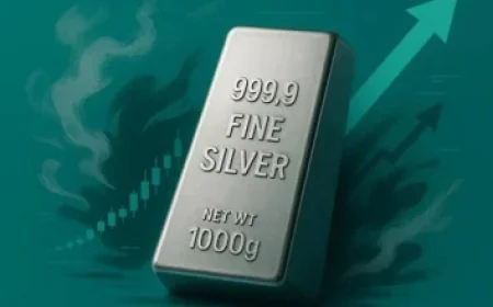 Trump Administration Considers Strategy to Halt Offshore Wind Farms