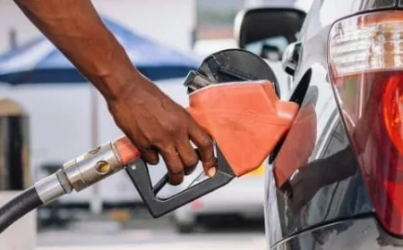 Rising Gas Prices Disrupt Global Political Stability