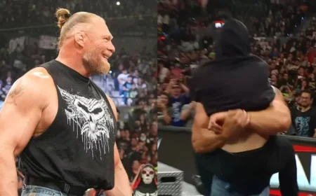 Masked Man Slammed by WWE’s Brock Lesnar Onto Steel Steps Unveiled