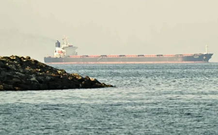 Marine Traffic at the Strait of Hormuz: After the Disruption, a Narrow Channel Opens