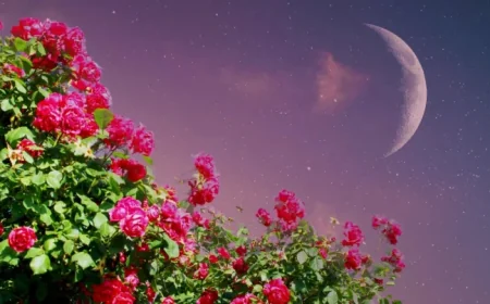 New Moon March 2026: The Pisces Inflection Point Arrives on March 18 (ET)