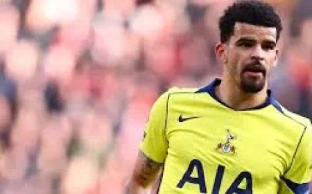 Tottenham Vs Atlético Madrid — Palhinha Out, Richarlison Suspended; Gallagher and Solanke Doubtful