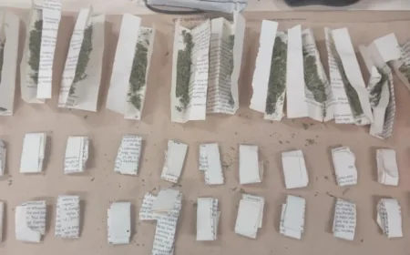 Southampton Vs Norwich City: Championship context as the clubs meet at St. Mary’s