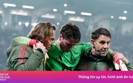 Jonas Urbig and Bayern’s Goalkeeper Crisis: 3 Reasons the Club Remained Unshaken