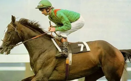 Shergar Horse as two-part documentary airs — a renewed look at the 1983 kidnapping