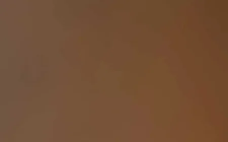 Sarah Jeanne Labrosse: Fourth Season Surprise — Terrace Becomes a Nursery in Ambitious Renovation Turn