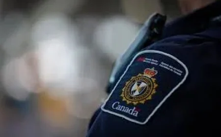 Cbsa Extortion Deportations Update exposes gap between removal orders and enforced removals