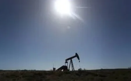 Nsw fuel squeeze: 3 pressure points as watchdog probes alleged price-gouging and a new coordinator takes charge