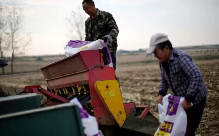 Statista: Iran War Shipping Shock Raises Alarm Over Fertilizer and Global Food Risk