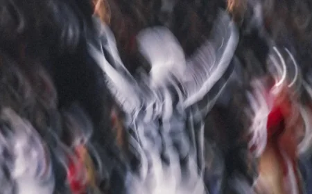 NFL Actively Searches for Replacement Officials