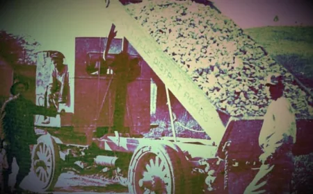 Bitcoin Veterans Sell $100 Million After Fed Dampens Rate Cut Expectations