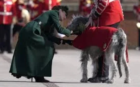 Princess Of Wales Makes Subtle Tribute at Aldershot St Patrick’s Day Parade — An Intimate Regimental Moment