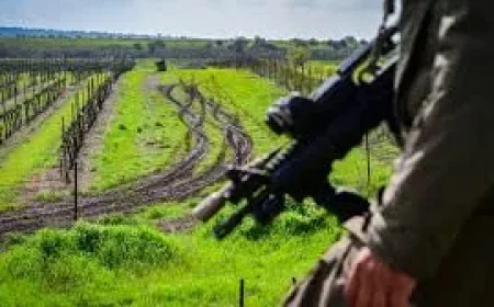 Steve Sweeney and the split-second when a broadcast becomes a battlefield