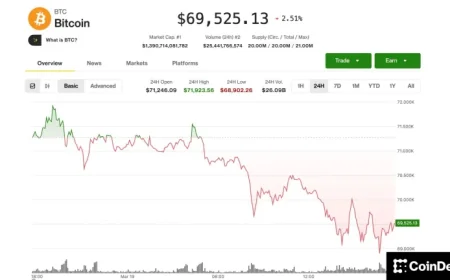 Analyst Advises Holding Cash Amid Market Price Volatility