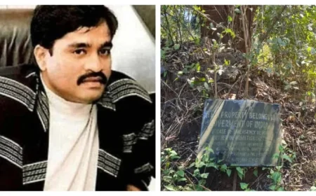 Dawood Ibrahim’s Maharashtra plots sold at last — but the buyer’s name stays hidden
