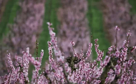 Spring Equinox 2026: Two precise times expose a basic confusion