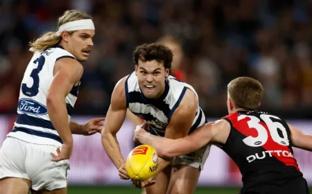 Vfl Scores: Hawks Locked In for Season Opener as EDFL Players Spread Across the League