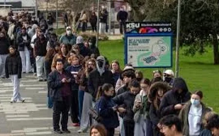 Meningococcal Meningitis Outbreak: Is the Kent Surge Finally Peaking? Five Key Signals