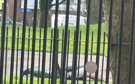Mandley Park bomb scare: Armed police swarm after weighted gym vest sparks false alarm