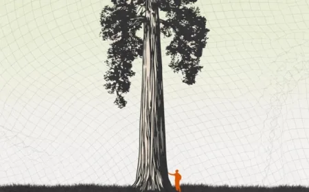 AI Doesn’t Define Us: We Are More Than Our Tools