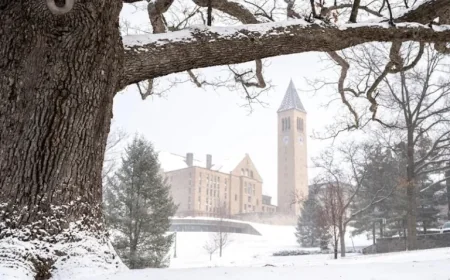 Cornell, the Price of a Master’s, and the Weeds That Won’t Die: Inside a Campus Question With Real-World Stakes