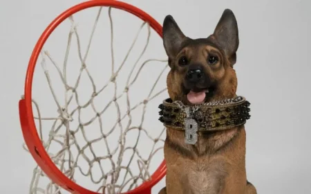 Queens University Basketball leans on ‘Buddy’ spirit as Purdue matchup tips in St. Louis