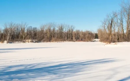 Blainville Fauvel Lakes: Local tests expose an oxygen shortfall behind recent fish deaths