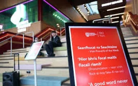 Queen’s University students back Irish and English signage in union referendum