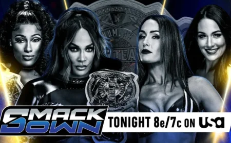 Nikki Bella and The Bella Twins hit a turning point after their SmackDown title match ends in disqualification