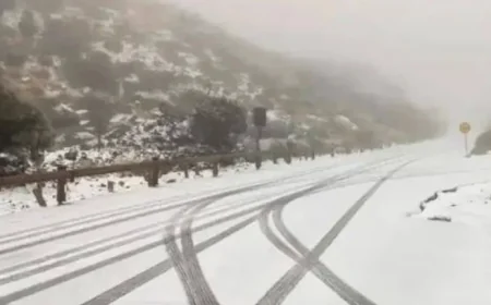 Tenerife Weather Warnings: Snow on Teide, Orange Alerts and Travel Disruption
