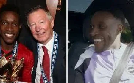 Hurzeler pays tribute to Brighton connector Danny Welbeck