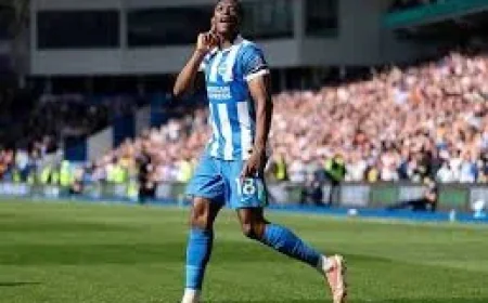 Danny Welbeck joins Zlatan Ibrahimovic in exclusive Premier League club after season-best surge