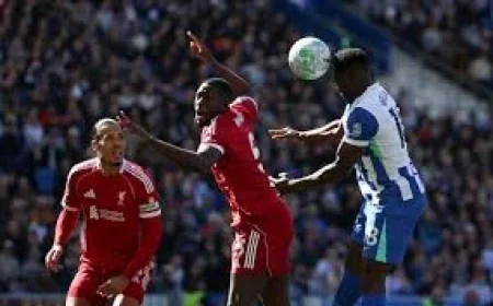 Danny Welbeck Joins Ibrahimovic Club and Sets Personal Premier League Record — Ageing Like Fine Wine