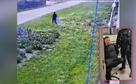 Corsica in Contrast: Classroom Diplomacy and a Confession That Reverberates Across the Sea