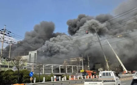 Tenterfield: Conflicting Death Toll and Chemical Risks Reverberate After Daejeon Factory Blaze