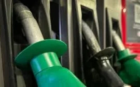 Government Fuel Cost Relief exposed: promises of help clash with warnings of limits