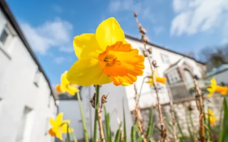 When Is Easter Sunday 2026 — Dates, Lent and the UK Bank Holiday Shake-Up