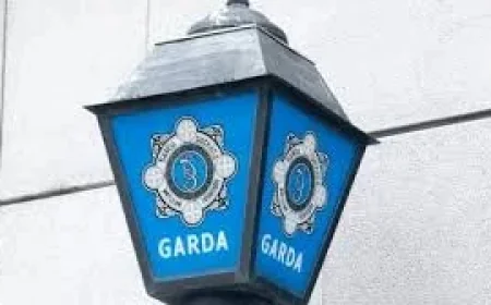 Birdhill: Woman in Critical Condition After Assault as Investigation Unfolds