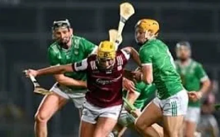 Limerick Gaa Twitter ahead of league final after frantic win at the Gaelic Grounds