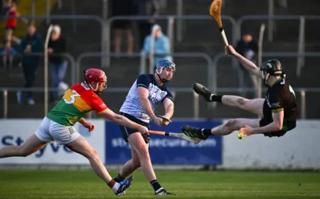 Dublin Gaa promotion masks how a dominant win still hinged on slim margins