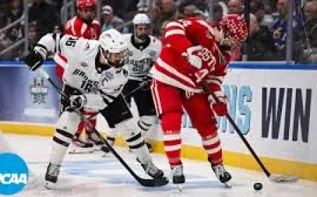 Ncaa Hockey Bracket reveals a selection system built on NPI—and a tournament where champions still share the stage with at-large picks