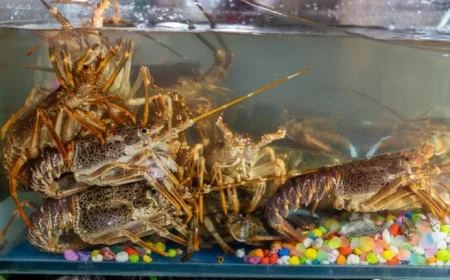 Tech Firms Assess Employees by LLM Token Usage Speed