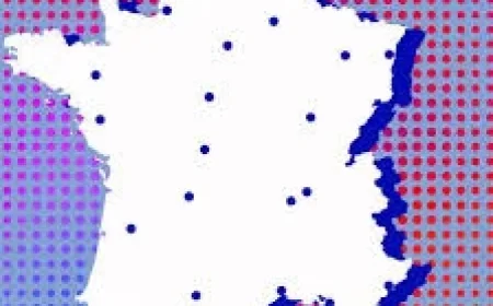 French Elections: Left’s Risky Pacts and a 25-Year Paris Test