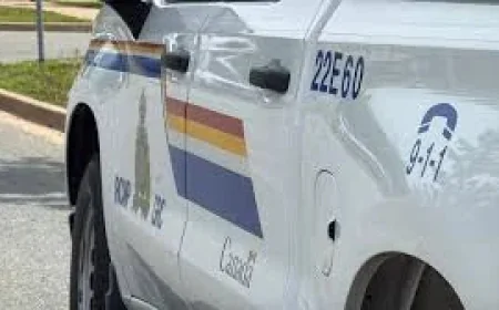 Rcmp undercover panhandler operation reveals enforcement contradiction in Lower Sackville and Cole Harbour