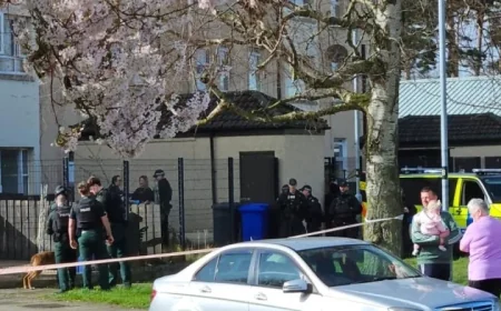 Belfast Live: 2 Arrested After Limavady Standoff Ends With Taser Deployment