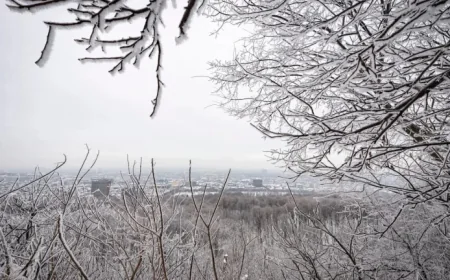 Building Faster: The Affordable Housing Challenge in Quebec