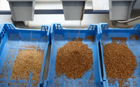 Actualités: Green briefing — insects on the menu, methane megaleaks and beaver carbon gains